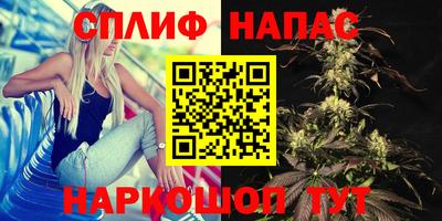 трава Будённовск