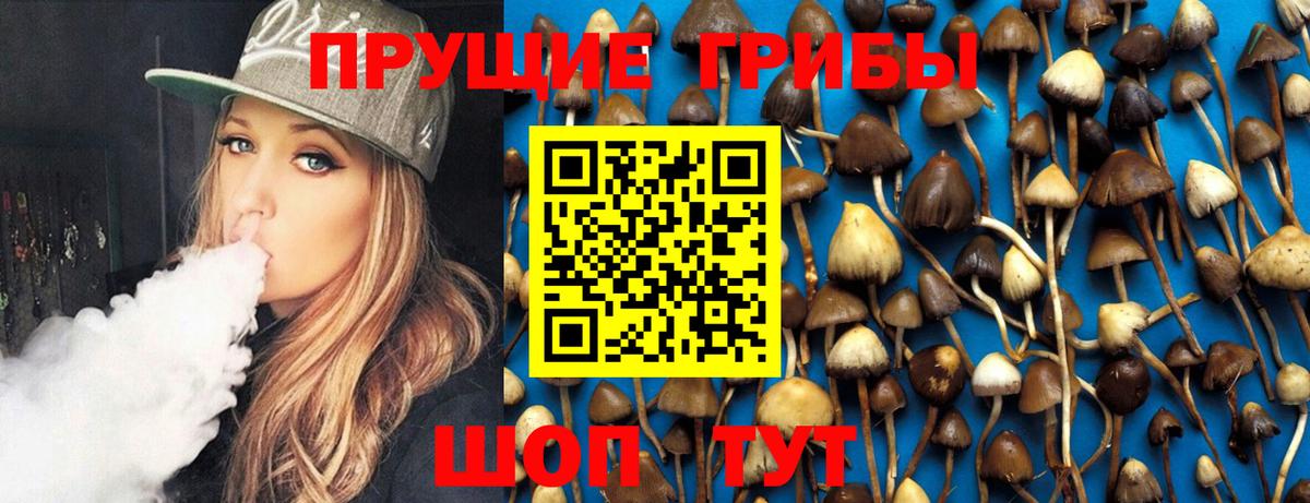 Псилоцибиновые грибы Psilocybine cubensis Красноперекопск