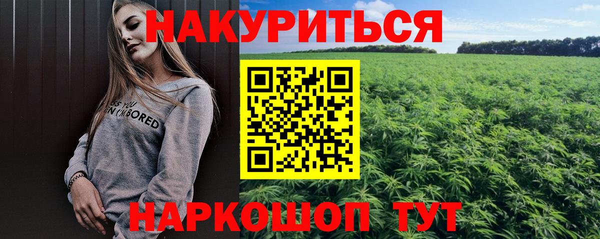 Бошки марихуана планчик  МАРИХУАНА гибрид  Красноперекопск  Конопля тримм  Вход с VPN 